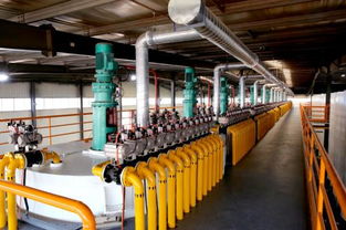 韋爾斯4.0智慧工廠震撼經(jīng)銷(xiāo)商，技術(shù)開(kāi)發(fā)共創(chuàng)新篇章